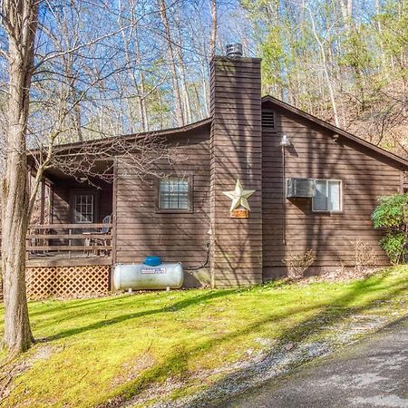 Bear Den, Hot Tub, 1089 Of Free Attraction Tickets For Each Paid Day, Dollywood And More! Sevierville Exterior photo