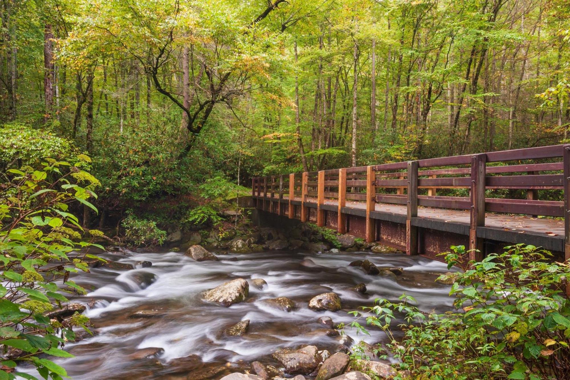 Bear Den, Hot Tub, 1089 Of Free Attraction Tickets For Each Paid Day, Dollywood And More! Sevierville Exterior photo
